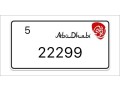 abu-dhabi-number-plates-small-0