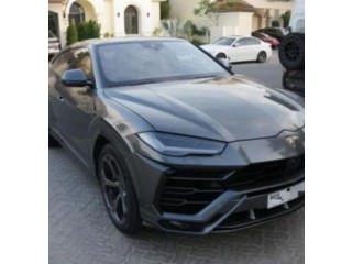 Lamborghini usur 2019