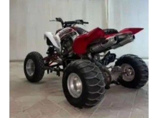 Raptor 2008