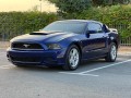 mustang-2014-small-5