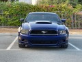 mustang-2014-small-2