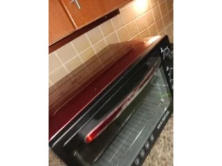 Electric oven