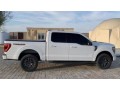 ford-f150-small-2