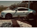 bentley-continental-small-1