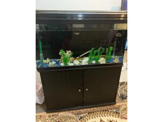 Fish aquarium