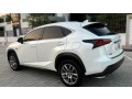 lexus-nx200-small-4