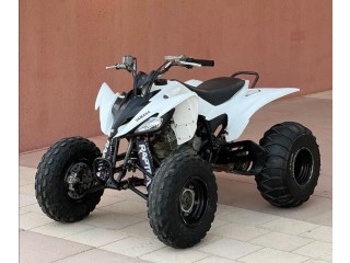 Raptor 2011