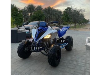 Yamaha raptor