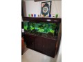 aquarium-fish-tank-small-0