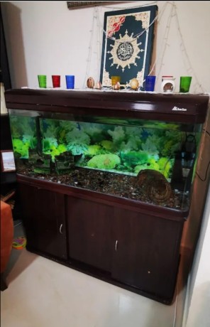 aquarium-fish-tank-big-0