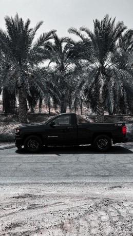 chevrolet-silverado-big-5