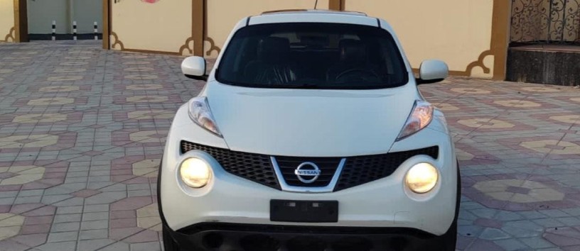 nissan-juke-big-2