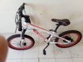 kids-bicycle-small-0