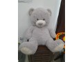 gray-bear-small-0