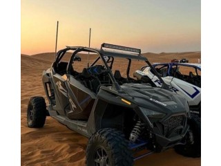 RZR Pro XP