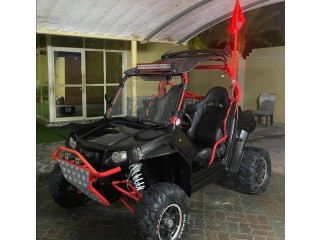 RZR 2010