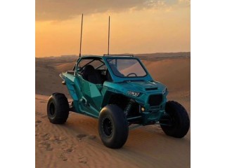 RZR 2015