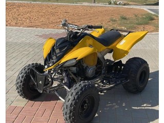 Raptor 2008