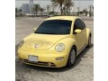 volkswagen-beetle-small-0