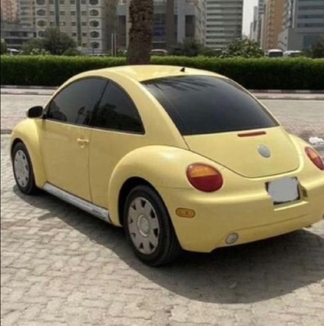 volkswagen-beetle-big-4