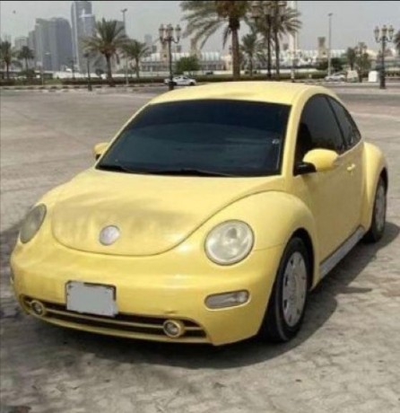 volkswagen-beetle-big-0