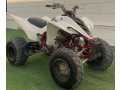 raptor-350-small-0