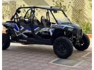 RZR 2018