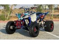 raptor-yfz-small-0