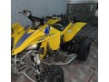 raptor-2008-small-0