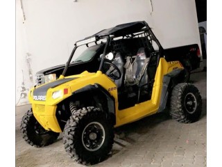 RZR 2009