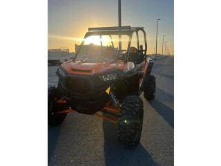 RZR 2016