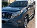 toyota-prado-small-1