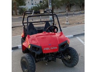 RZR 170