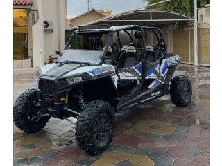 RZR 2018