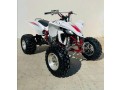 yfz-small-0