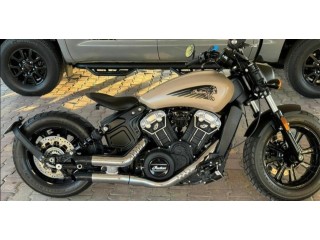 Indian scout bobber