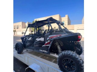 RZR 2017