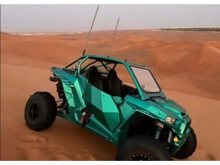 RZR 1000