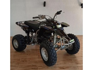 Yamaha yfs200