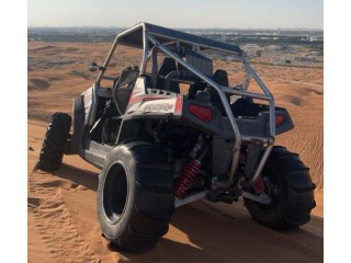 RZR 800