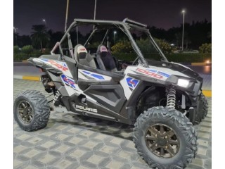 RZR 2015