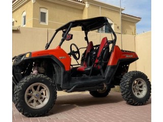 RZR 800