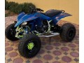 yfz-2009-small-0