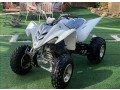 raptor-350-small-0