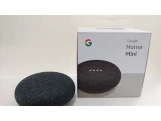 Google home mini