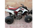 raptor-700-small-0