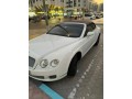 bentley-2008-small-0