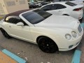 bentley-2008-small-1