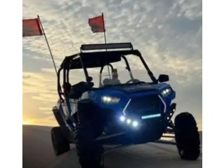 RZR 2015