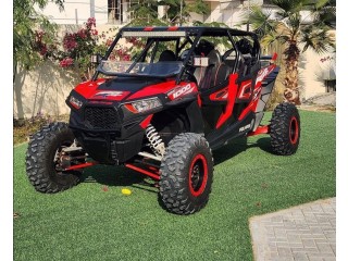 RZR 2015